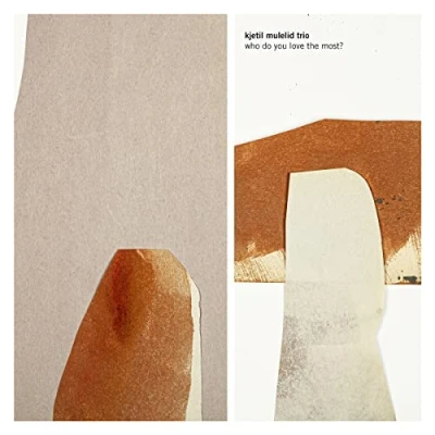 Afbeelding van Kjetil Mulelid Trio Who Do You Love The Most? (CD)