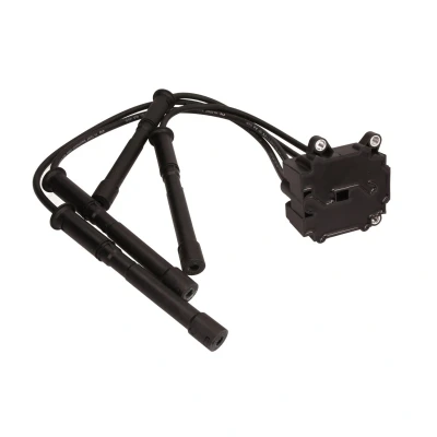 Afbeelding van Delphi Diesel Bobine CE20017 12B1