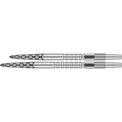 Afbeelding van Target Swiss DS Surge Dart Points Silver 26 mm