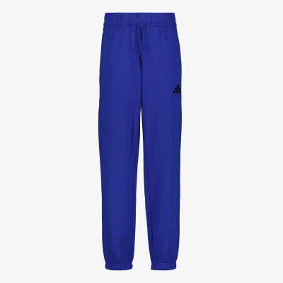 Afbeelding van Adidas Essentials kinder joggingbroek blauw Maat 170/176