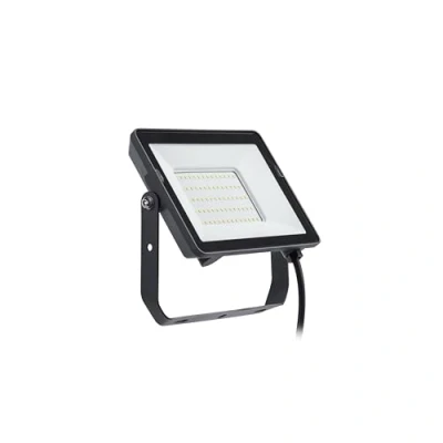 Afbeelding van Philips ProjectLine schijnwerper LED paneel 50 W Warmwit licht