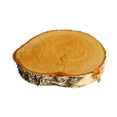 Afbeelding van matches21 Houten schijf berk echt hout berkenhout boomschijf decoratie voor &amp; DIY 1 stuks Ø 15 20 cm