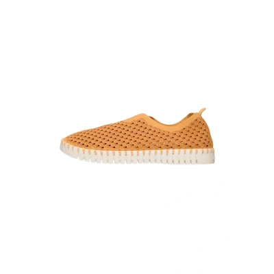 Afbeelding van Ilse Jacobsen Tulip Instappers, Dames, Maat: 36, Golden nugget Nylon