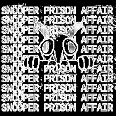 Afbeelding van Prison Affair &amp; Snooper Split (Single)
