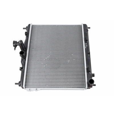 Afbeelding van Radiateur ACKOJA A52 60 0005