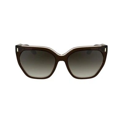 Afbeelding van Calvin Klein Zonnebrillen voor dames, Bruin/Lichtbruin, one size