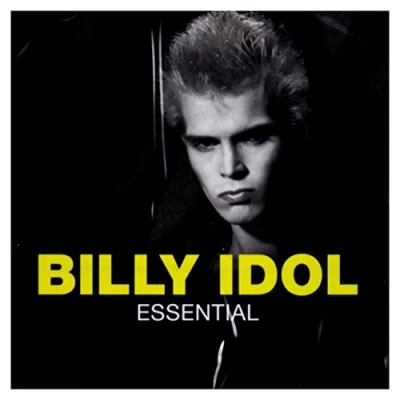 Afbeelding van Billy Idol Essential (CD)