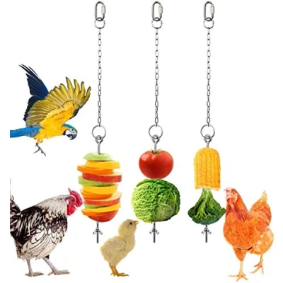 Afbeelding van Kip Veggies Spies Fruit Voedselhouder Speelgoed voor Kippen, 3 Stks Huisdier Groente Hangende Feeder Speelgoed, Roestvrij Staal Foerageren Kippen Grote Vogels Behandelen