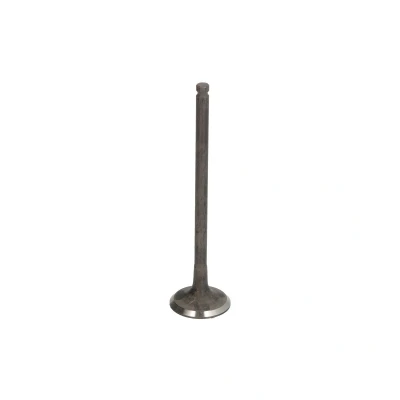 Afbeelding van Uitlaatklep FRECCIA R6953/RNT
