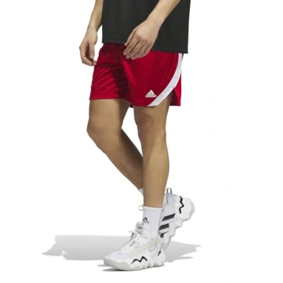 Afbeelding van adidas Performance ICON Squad Korte broeken, Heren, Maat: Medium, Team power red white