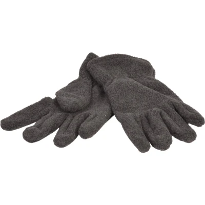 Afbeelding van P&amp;T Handschoenen Dames Micro Fleece Donker Grijs