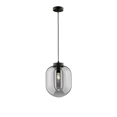 Afbeelding van Fischer &amp; Honsel Hanglamp Regi 1x E27 max. 40 W (excl.) Zwart Mat Metaal Rookglas