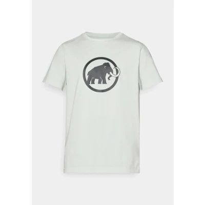 Afbeelding van Mammut CORE Classic Tshirt print silvercoloured sage, Heren, Maat: Large, Silver/coloured sage