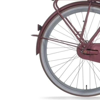 Afbeelding van Cortina Spatbord achter 28 E U4 BF spicy silver 2 matt