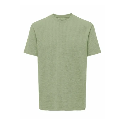 Afbeelding van Only &amp; Sons Onskian Life Reg Seersucker Ss Tee 22028692 Groen Heren The Stone