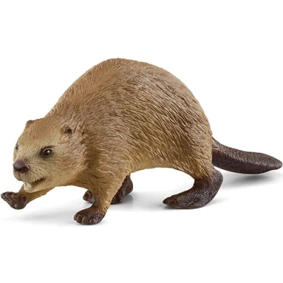 Afbeelding van schleich WILD LIFE Bever, vanaf 3 jaar, 14855 Speelfiguur, 10 x cm
