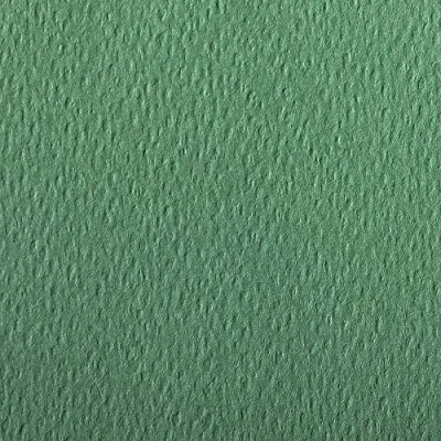 Afbeelding van Clairefontaine 93878C Pack (met 25 vellen tekenpapier, etikettenkleur, DIN A4, 21 x 29,7 cm, 160 g, korrels, ideaal voor droogtechniek en inlijsten) donkergroen