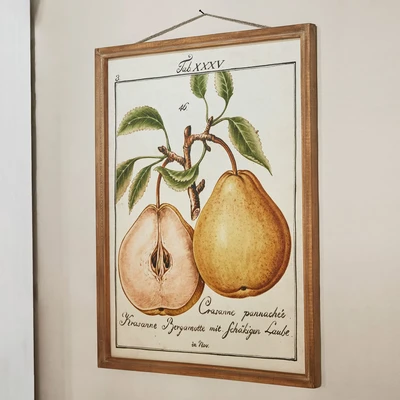 Afbeelding van LOBERON Decoboard Tupisa bont