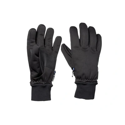 Afbeelding van Sinner Heren Ski handschoen Canmore Zwart