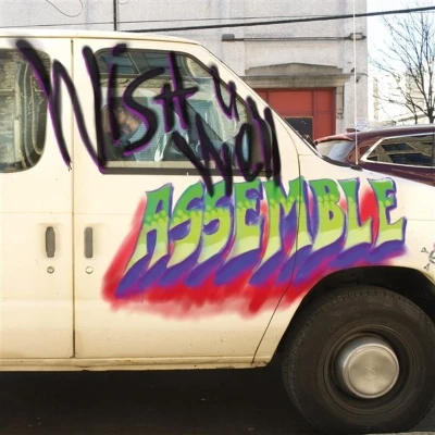 Afbeelding van Assemble Wish You Well (LP)