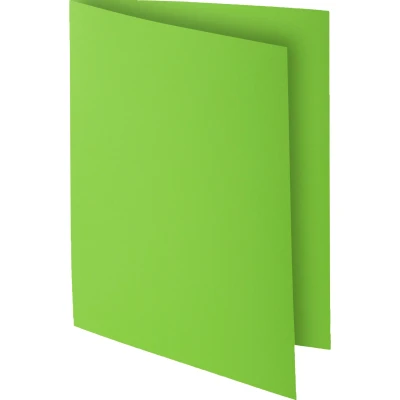 Afbeelding van Exacompta ref. 807013E Set van 30 felgekleurde inlegmappen ROCK&#039;&#039;S 80 g/m2 in PEFC™ gecertificeerde mappen Afmetingen: 22 x 31 cm Formaat A4 kleur groen