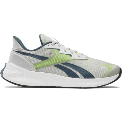 Afbeelding van Reebok Classics Floatride Energy Sym Sneakers Grijs EU 41 Man
