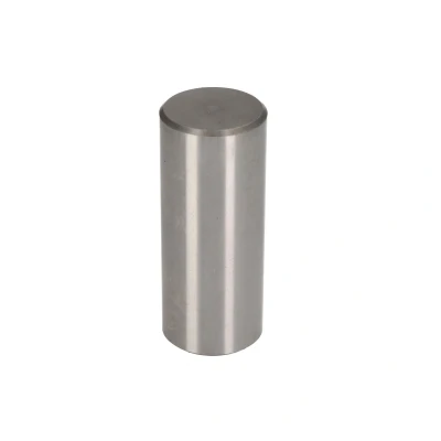 Afbeelding van Pen, satelliet, differentieel tandwiel CEI 107098