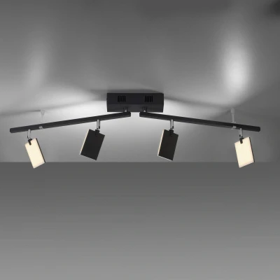 Afbeelding van Paul Neuhaus Plafondlamp Pure Mira 4 lichts zwart 6356 18