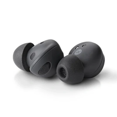 Afbeelding van TrueGrip voor Samsung Galaxy Buds2 Pro 1P Size: Large