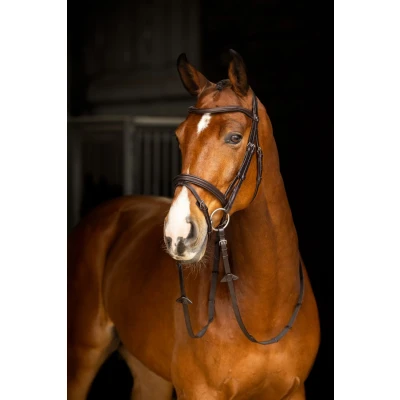 Afbeelding van LeMieux Arika Flash hoofdstel