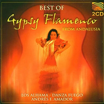 Afbeelding van Various Artists Best Of Gypsy Flamenco (2 CD)