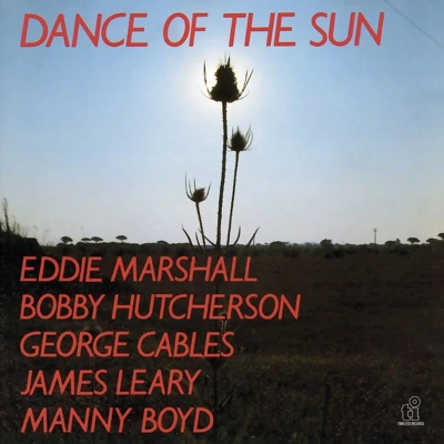 Afbeelding van Eddie Marshall Dance Of The Sun (CD)