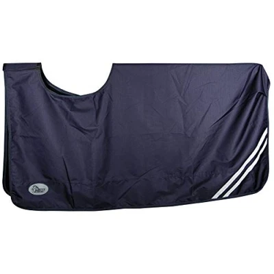 Afbeelding van Harry&#039;s Horse Uitrijdeken 0gr waterdicht met fleece voering L Kleurloos