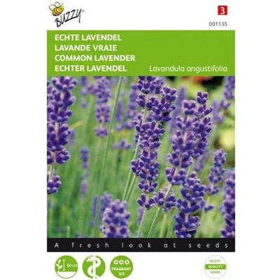 Afbeelding van Lavendel echte