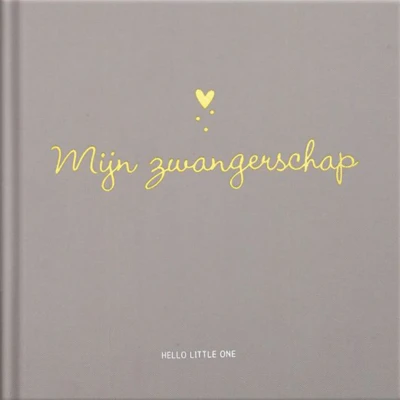 Afbeelding van Image books invulboek hello little one mijn zwangerschap