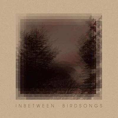 Afbeelding van Matthias Gusset Inbetween Birdsongs (LP)