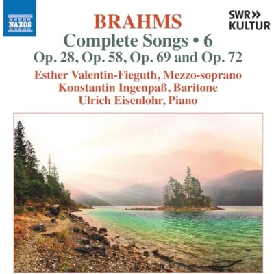 Afbeelding van Esther Valentin Fieguth, Konstantin Ingenpass &amp; Ulrich Eisenlohr Brahms: Complete Songs, Vol. 6 (CD)