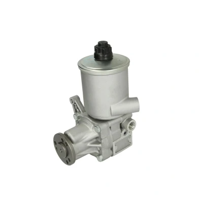 Afbeelding van Lauber Servopomp 55.0980