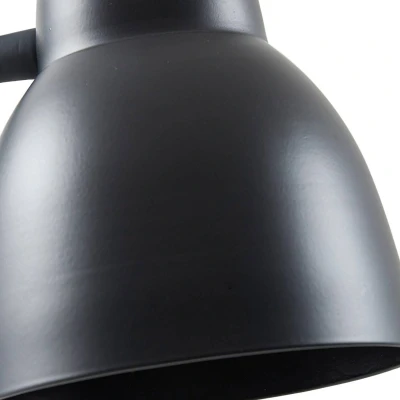 Afbeelding van Lindby Vloerlamp Tebbi, zwart, metaal, hoogte 150 cm