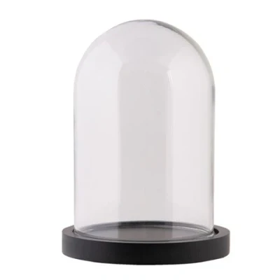Afbeelding van Clayre &amp; Eef Zwarte Stolp Ø 12*17 cm van Glas