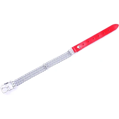 Afbeelding van Collar met kettingen en rood leer