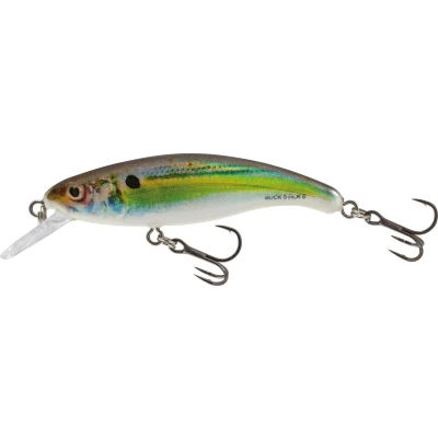 Afbeelding van Real Holographic Shad Slick Stick Floating 6CM Salmo