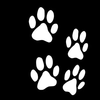 Afbeelding van Finest Folia Set van 12 hondenpoten, elk 6 x cm, pootjes, hond, kat, stickers, stickers voor auto, motorfiets, muur, laptop, meubels (K015 wit glanzend)