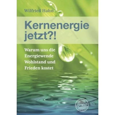 Afbeelding van Kernenergie jetzt?!: Warum uns die Energiewende Wohlstand und Frieden kostet