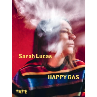 Afbeelding van Sarah Lucas: Happy Gas