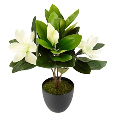Afbeelding van I.GE.A. Kunstbloem MAGNOLIE