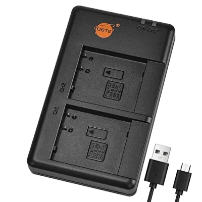 Afbeelding van DSTE Snel opladen USB dubbele batterijlader Compatibel voor Panasonic DMW BLE9, BLE9PP, BLG10, BLH7, BLH7PP, BLH7E, BLH7GK, BTC9, Lumix DC LX100 II, DMC GF6,