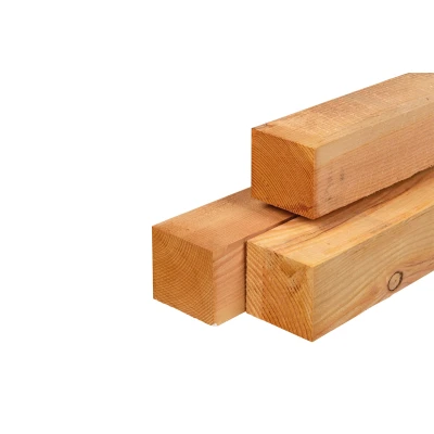 Afbeelding van Lariks/douglas Palen Onbehandeld (Vers Hout) 12x12x250 cm