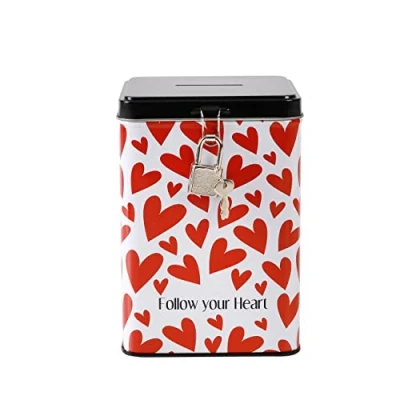 Afbeelding van I TOTAL® Grappige spaarpot met hangslot en sleutel, metalen sluiting (Follow Your Heart)