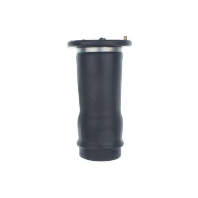 Afbeelding van DENCKERMANN DSA122G Luchtvering, chassis Achteras